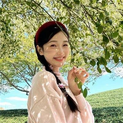 面包与玫瑰